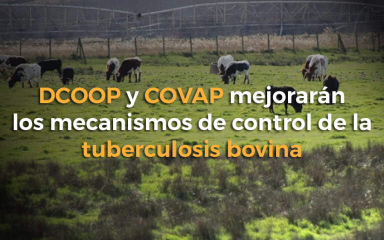 DCOOP y COVAP mejorarán los mecanismos de control de la tuberculosis bovina