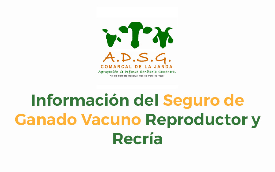 información del Seguro de Ganado Vacuno Reproductor