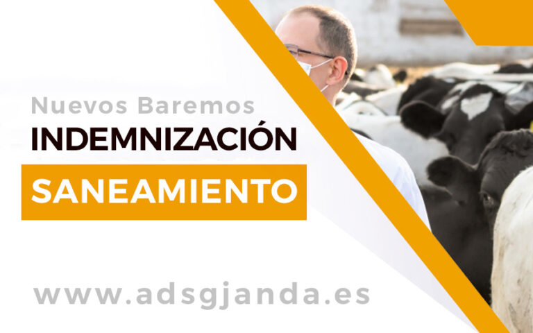 Baremos Indemnización Saneamiento