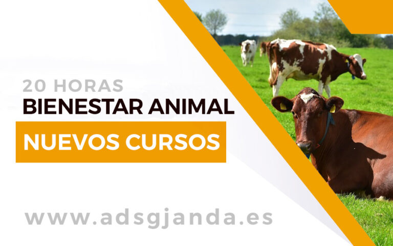 Próximos cursos de Bienestar animal en explotaciones y en el transporte