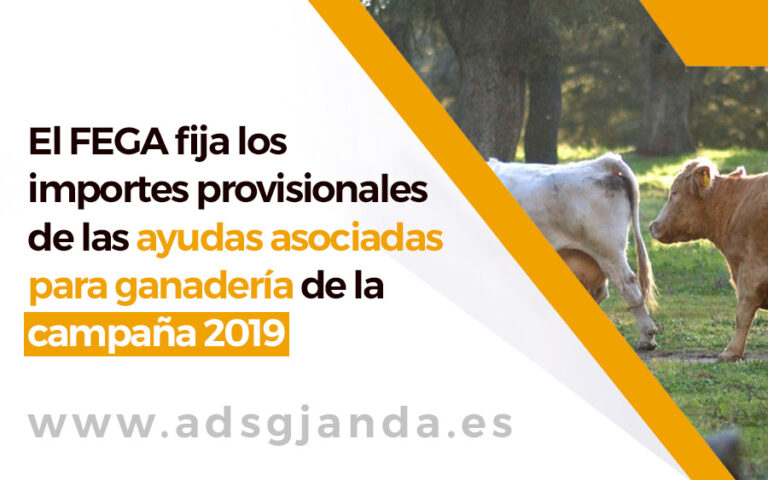El FEGA fija los importes provisionales de las ayudas asociadas para ganadería de la campaña 2019