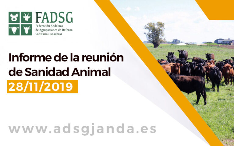 Informe de la reunión de Sanidad Animal 28 de Noviembre