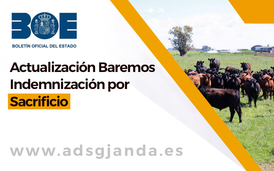 Actualización Baremos Indemnización por Sacrificio