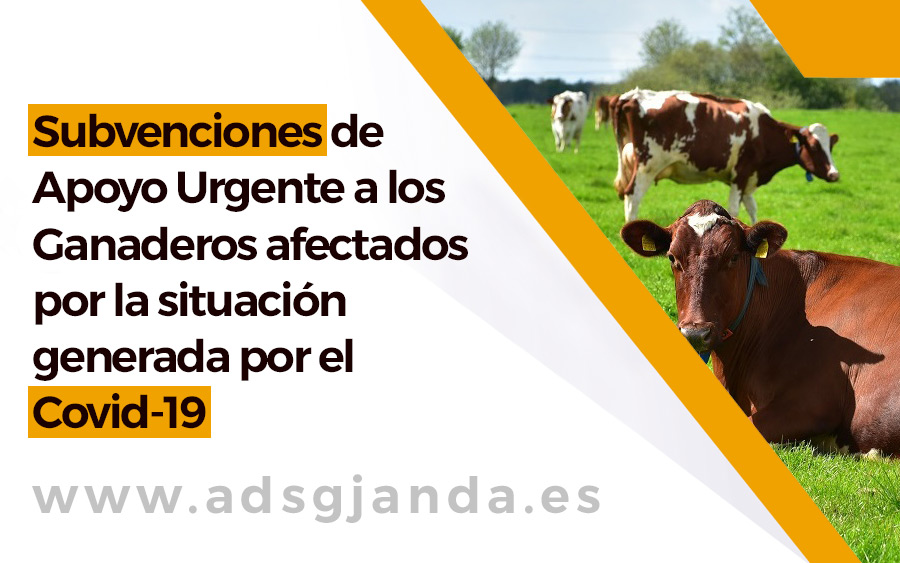 Subvenciones de Apoyo Urgente a los Ganaderos afectados por la situación generada por el Covid-19