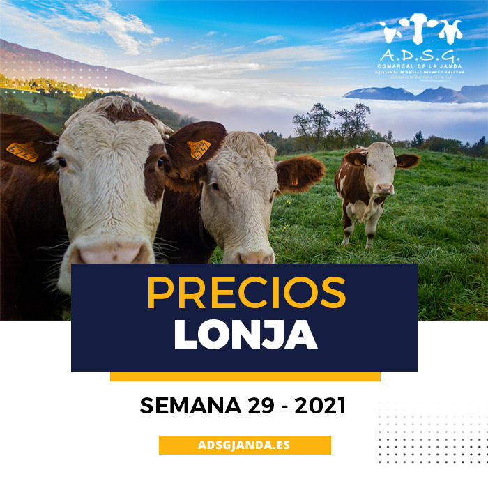 precios lonja semana 29 2021