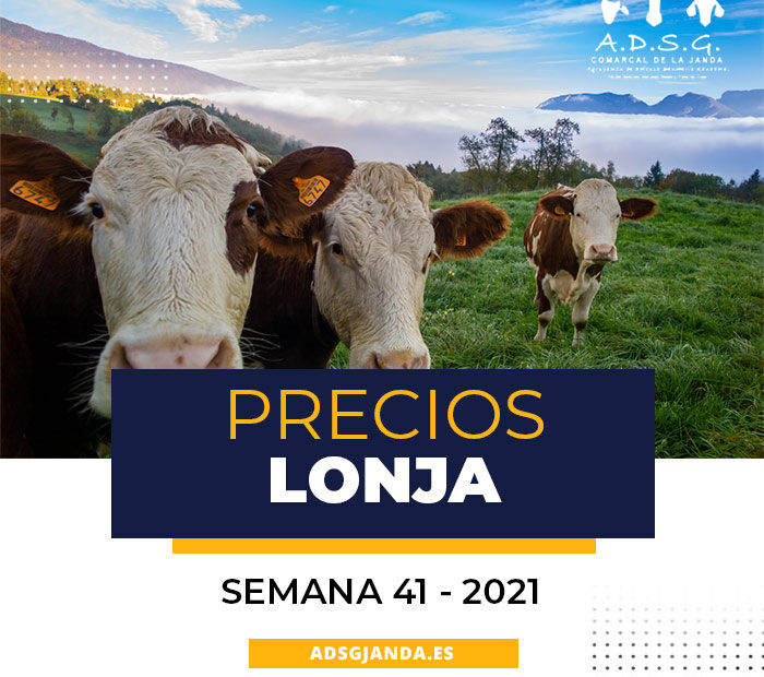 precios lonja semana 41 2021