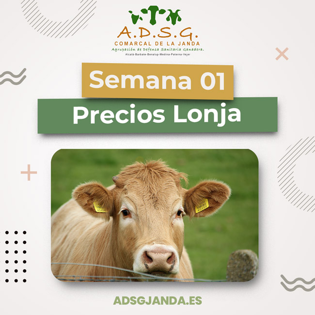 precios lonja semana 1 2023