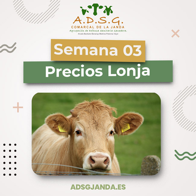 precios lonja semana 3 2023